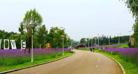 南陽十大最好玩的景點(diǎn)，南陽旅游景點(diǎn)大全簡(jiǎn)介
