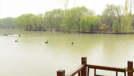 阜陽(yáng)十大好玩的地方，阜陽(yáng)有什么好玩的地方景點(diǎn)